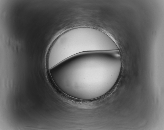 X0000099470008200805090822