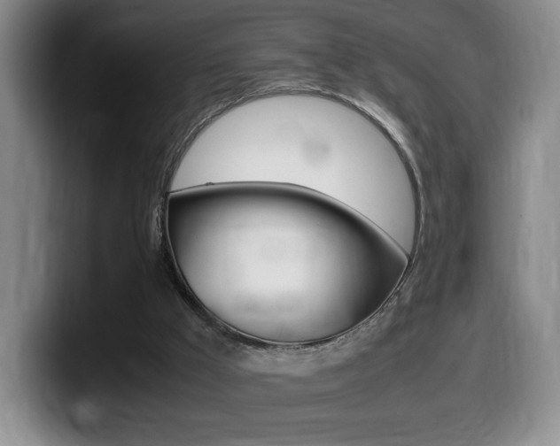 X0000099470009200805090822