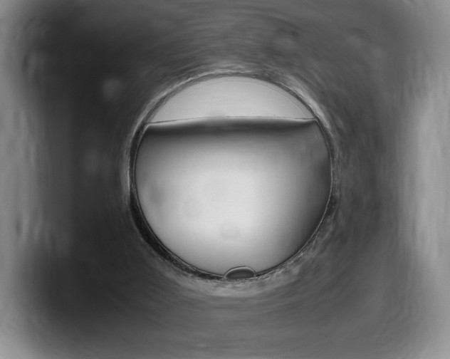 X0000099470011200805090822