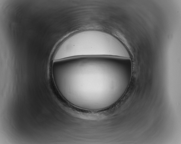 X0000099470012200805090822