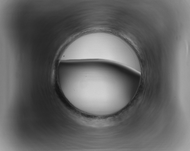 X0000099470016200805090822