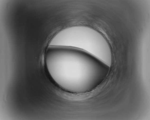X0000099470019200805090822