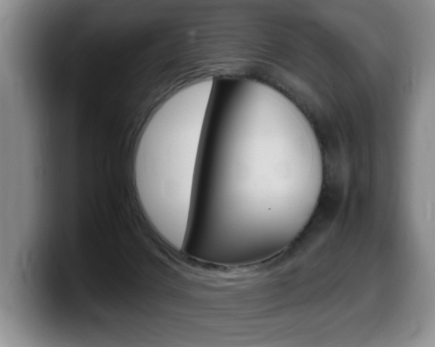 X0000099470028200805090822