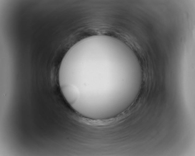 X0000099470030200805090822