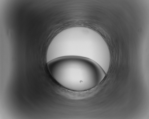 X0000099470035200805090822