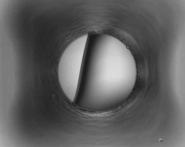X0000099470036200805090822