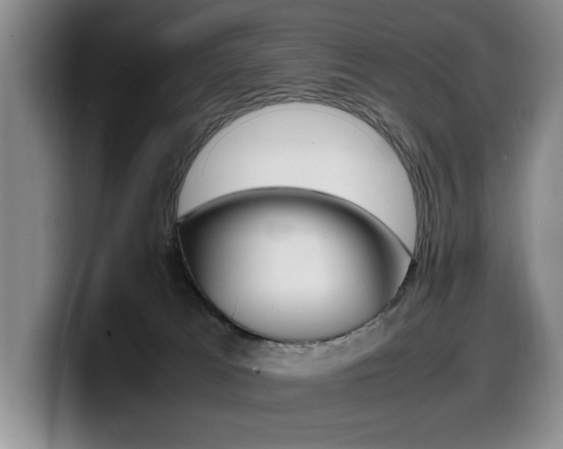 X0000099470037200805090822