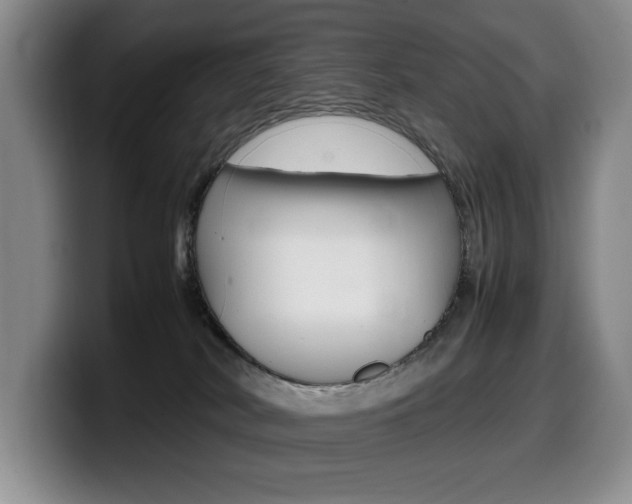 X0000099470038200805090822