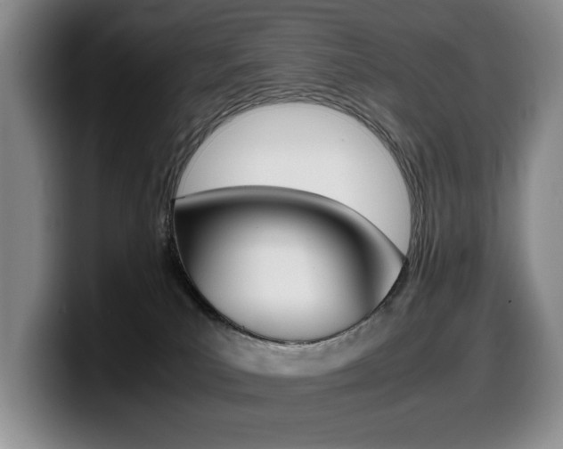 X0000099470039200805090822