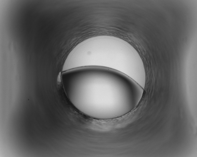 X0000099470041200805090822