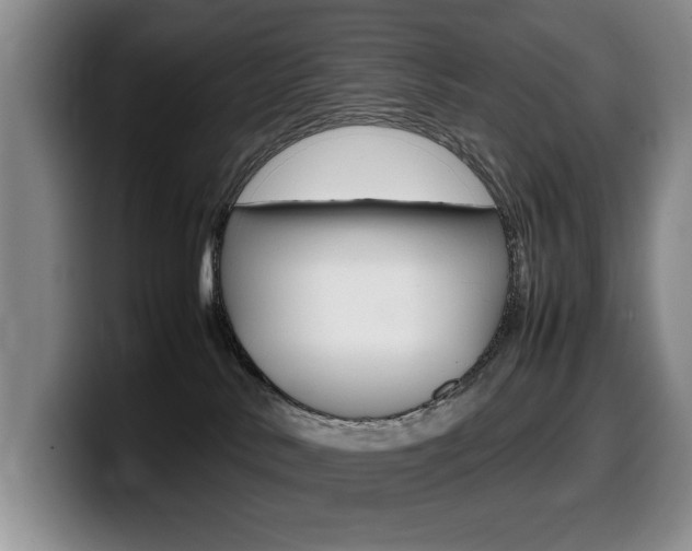 X0000099470042200805090822