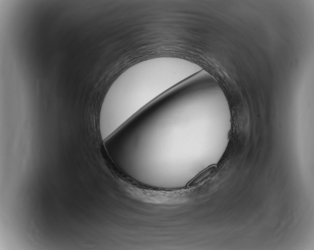 X0000099470044200805090822
