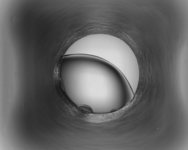 X0000099470045200805090822