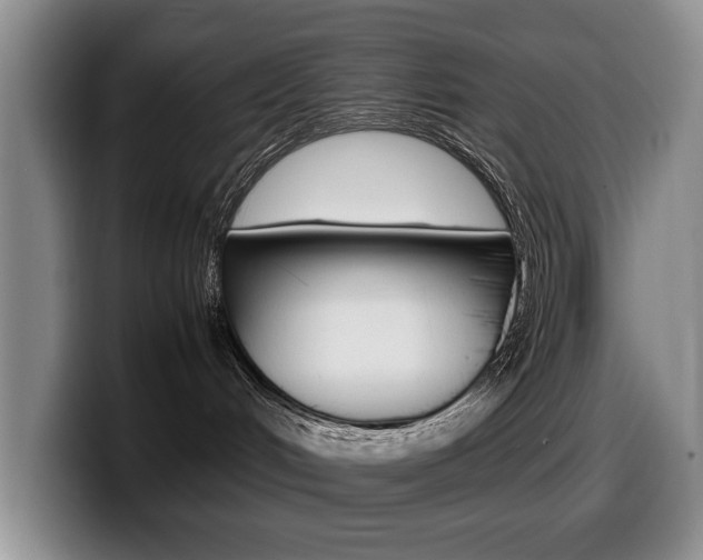 X0000099470048200805090822