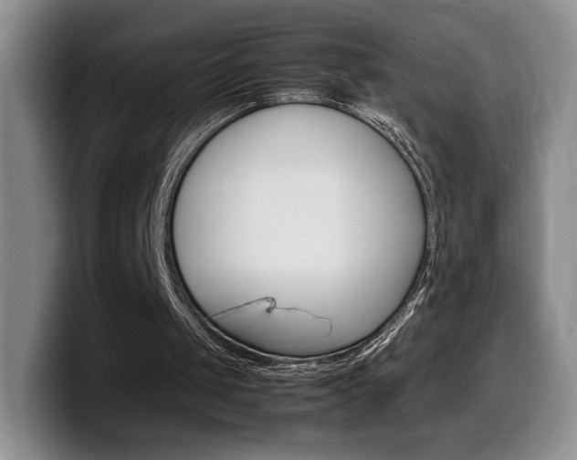 X0000099470049200805090821