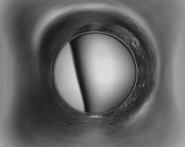 X0000099470050200805090821