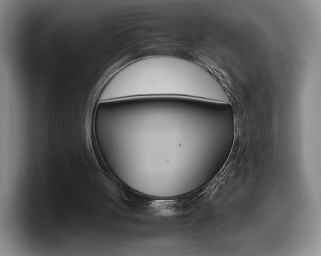 X0000099470051200805090821