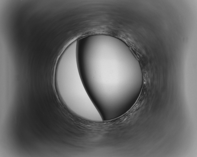 X0000099470052200805090821
