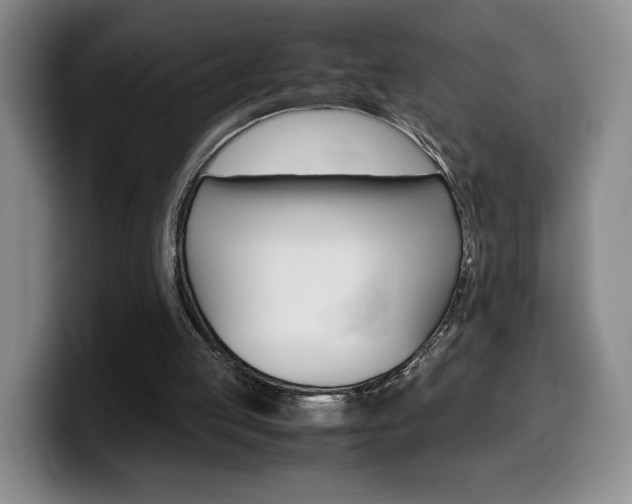 X0000099470053200805090821