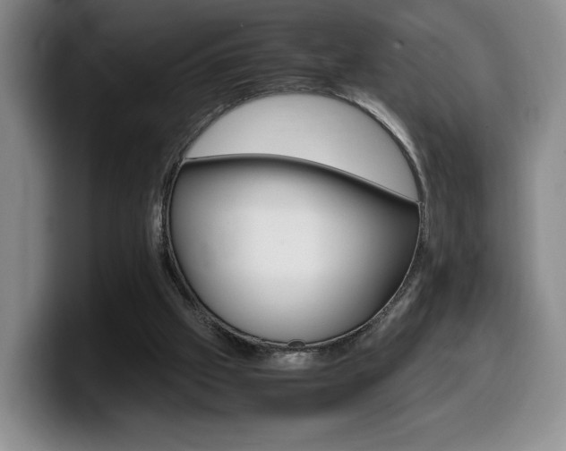 X0000099470057200805090821