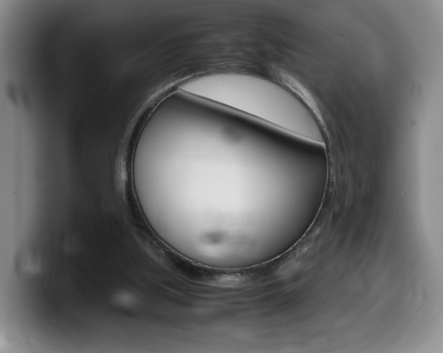 X0000099470059200805090821