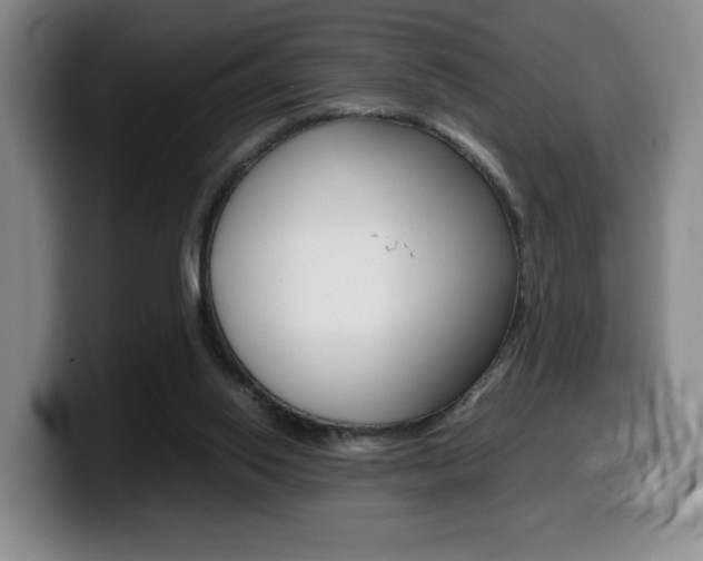 X0000099470062200805090821