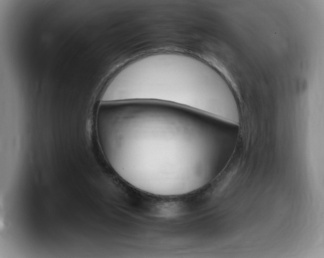 X0000099470063200805090821