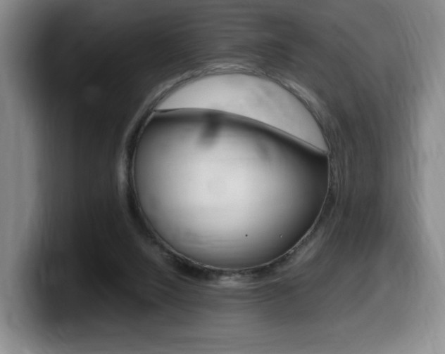 X0000099470064200805090821