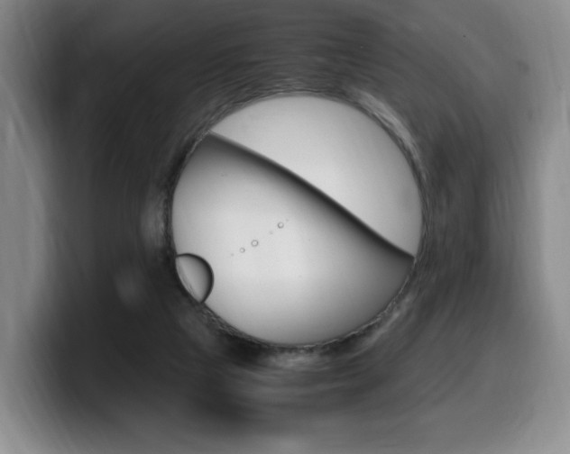 X0000099470065200805090821