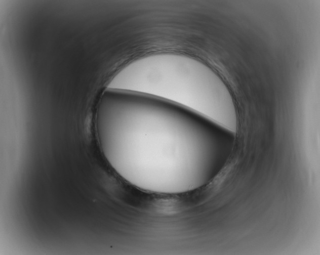 X0000099470066200805090821