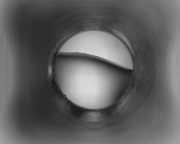 X0000099470067200805090821