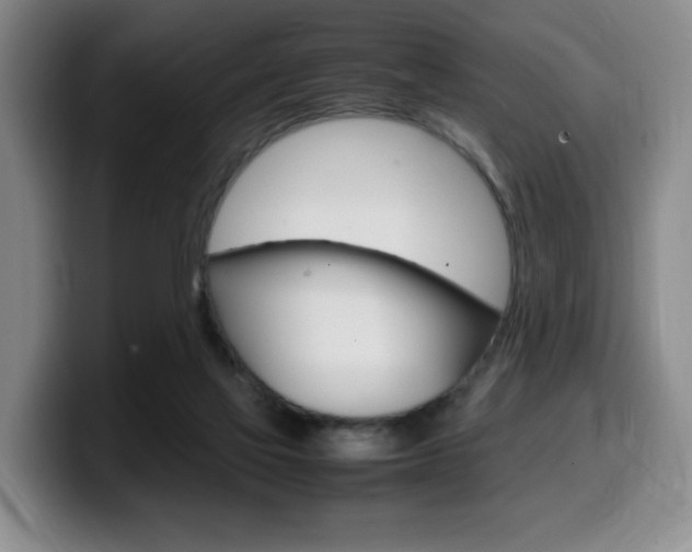 X0000099470069200805090822