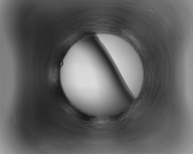 X0000099470077200805090822