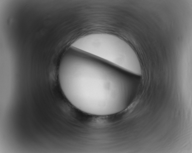 X0000099470078200805090822