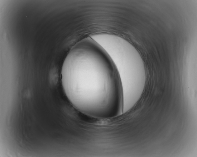 X0000099470080200805090822
