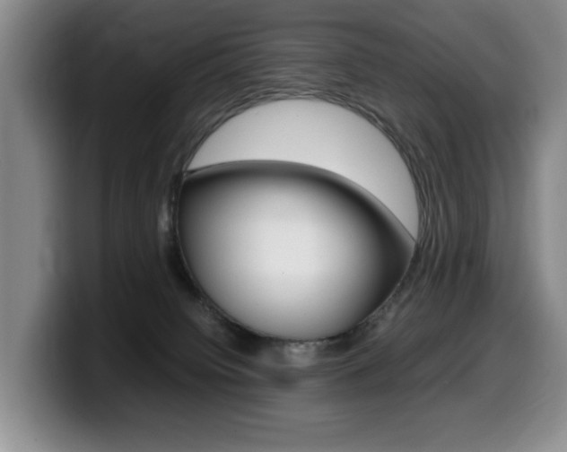 X0000099470084200805090822