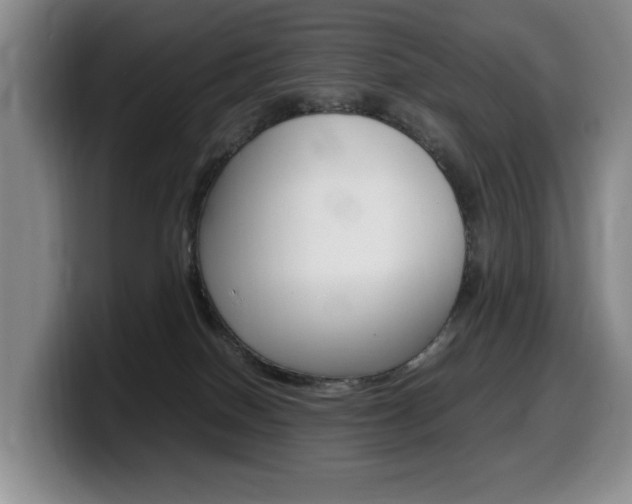 X0000099470086200805090822