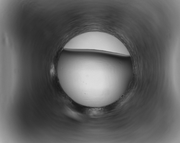 X0000099470089200805090822