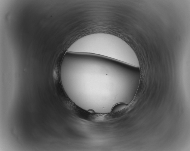 X0000099470090200805090822
