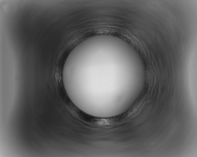X0000099470091200805090822