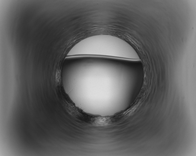 X0000099470096200805090822