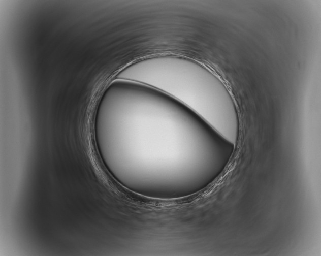 X0000099470097200805090821
