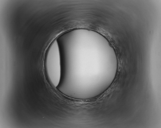 X0000099470098200805090821