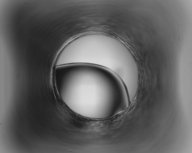 X0000099470100200805090821