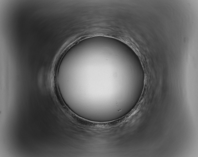 X0000099470101200805090821