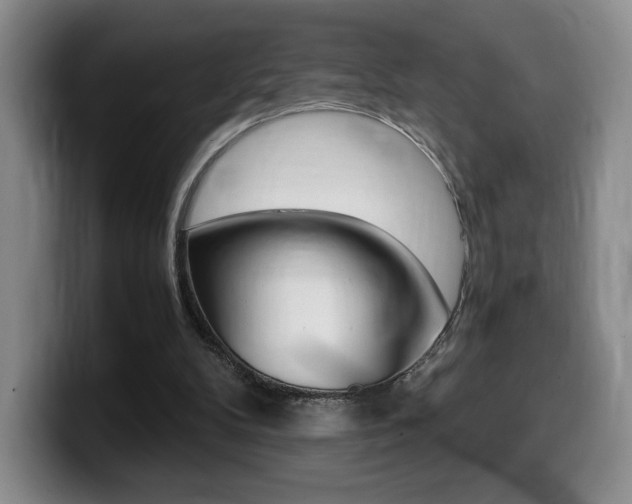 X0000099470104200805090821