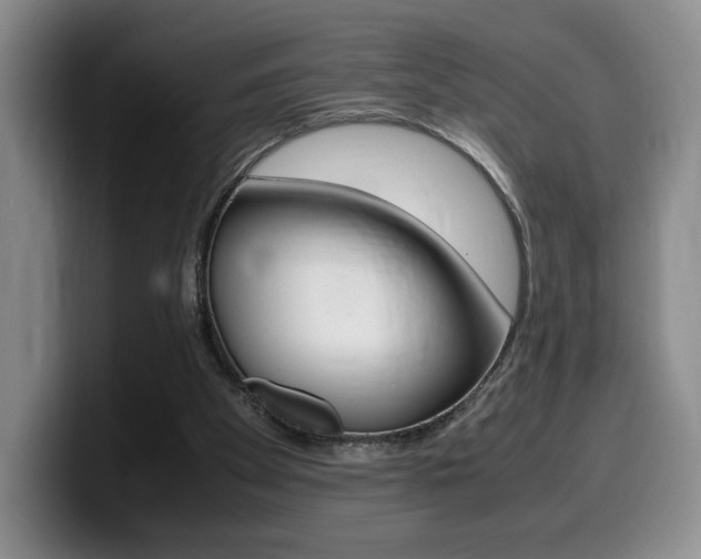 X0000099470105200805090821