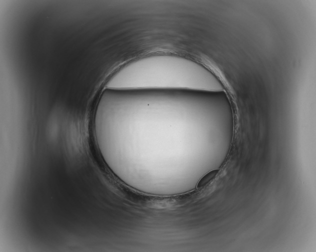 X0000099470106200805090821