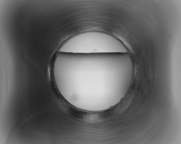X0000099470110200805090821