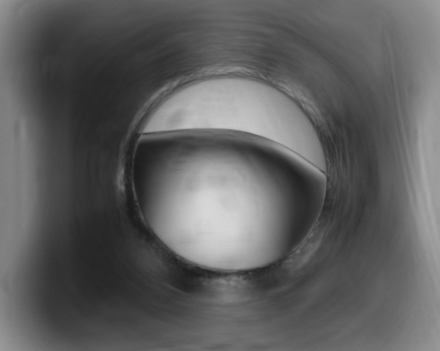 X0000099470112200805090821